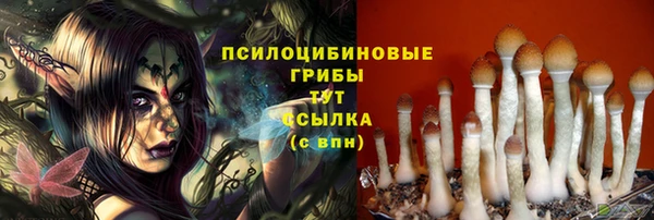 мяу мяу мука Арсеньев