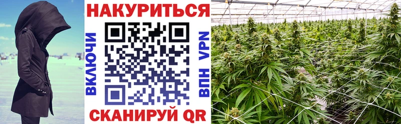 Конопля марихуана  это телеграм  Пустошка  где купить наркоту 